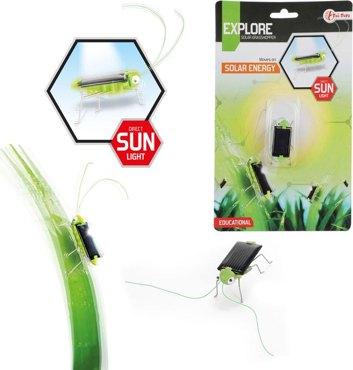 Immagine prodotto Toi-Toys Scoprire la cavalletta solare