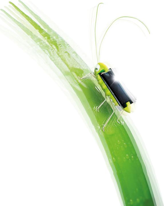 Immagine prodotto Toi-Toys Scoprire la cavalletta solare