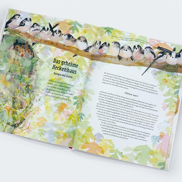 Image du produit Aus der Vogelperspektive (Allemand, Tim Birkhead, Catherine Rayner, Rita Gravert, 2023)