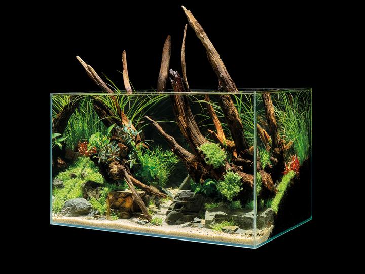 Image du produit Oase Aquarium ScaperLine 100, 250 l (250 l)