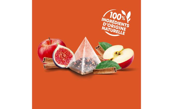 Image du produit Elephant Infusion Pomme Cannelle (36 g)