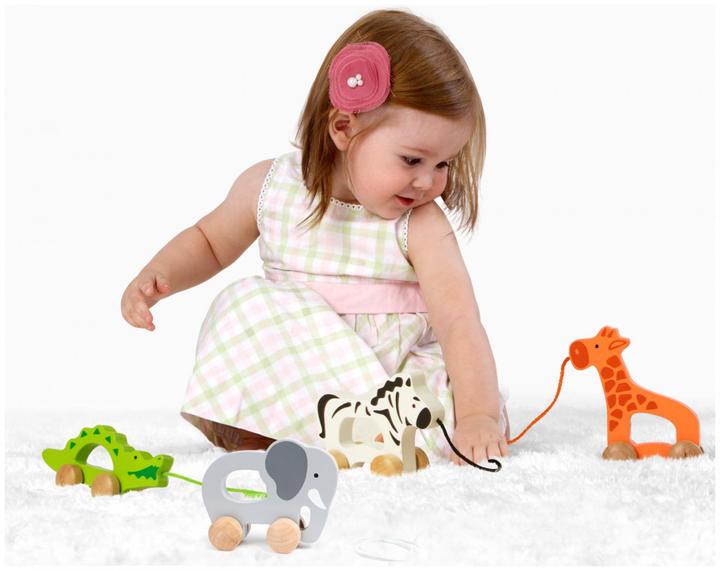 Actual product image Hape Elephant
