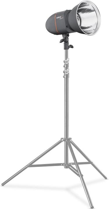 Actual product image Walimex pro Pro Newcomer 300 studio flash (300 W, Flash head)