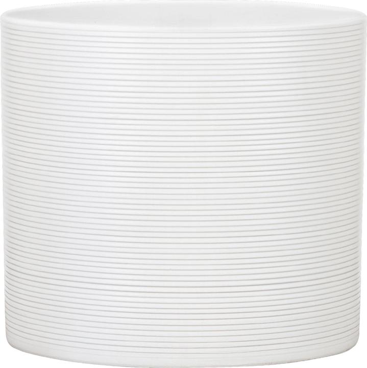 Produktbild Scheurich Panna (14 cm)