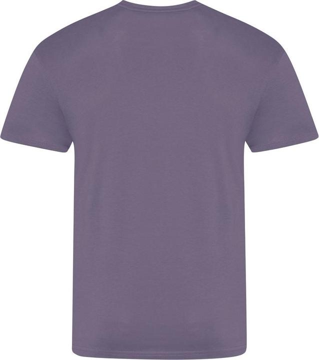 Image du produit Awdis The 100 Tshirt (3XL)