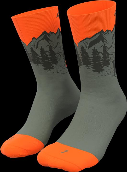 Immagine prodotto Dynafit Calzini Stay Fast Unisex (39 - 42)
