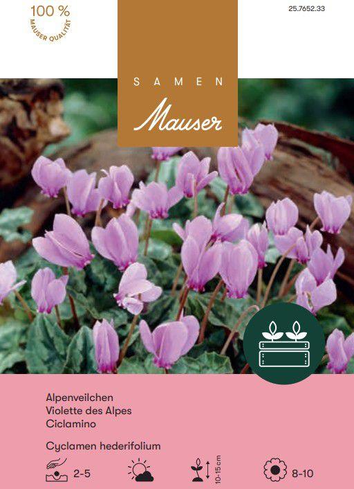 Actual product image Samen Mauser Cyclamen hederifolium (Flower seeds)