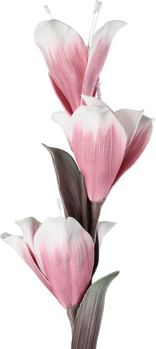 Actual product image EGLO LIVING Molave (85 cm)