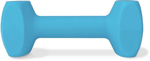 Actual product image Company of Animals Coachi Training Dumbbell (Retrieval)