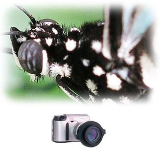 Actual product image Raynox DCR-250, Macro / Close-up Front lens (Macro intermediate ring, Universal)