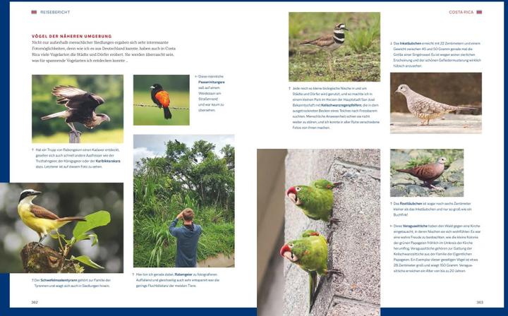 Produktbild Die magische Welt unserer Vögel (Deutsch, Matthias Futterer, Hannes Bonzheim, 2022)