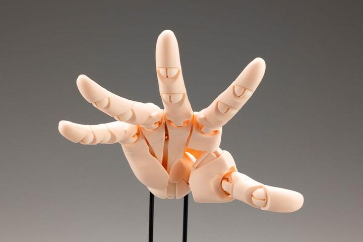 Actual product image Kotobukiya Takahiro Kagami PVC Artist Support Item Hand 1/1 Model/R Pale Orange 21 cm