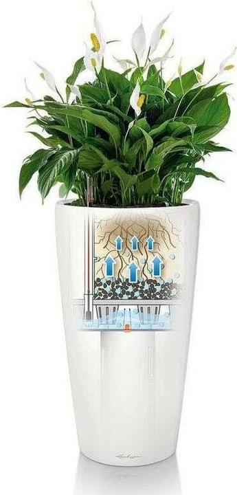 Produktbild Lechuza RONDO Premium. (40 cm)