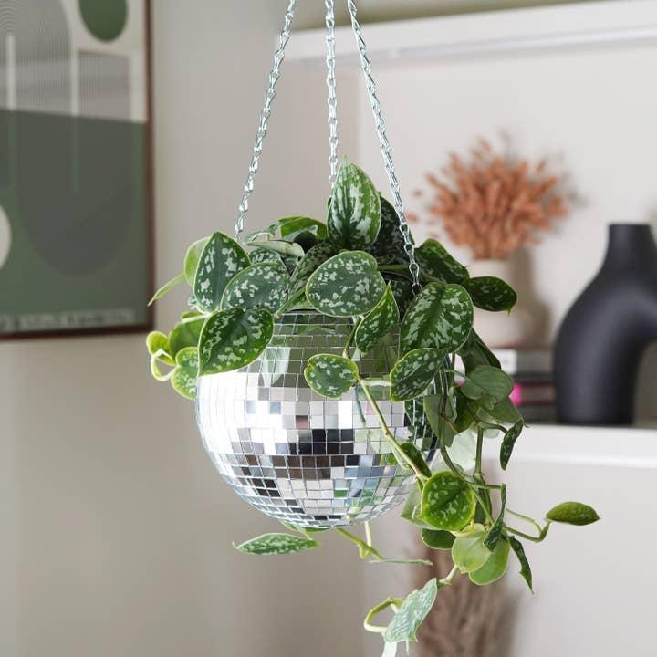 Produktbild Mags Disco Blumen