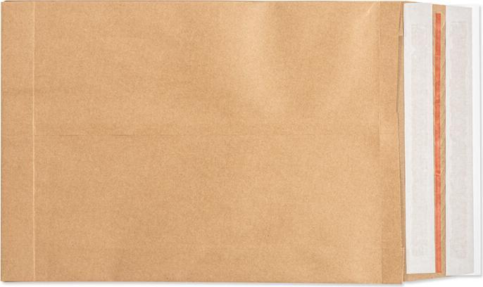 Master'In Papierversandtasche (1 x)
