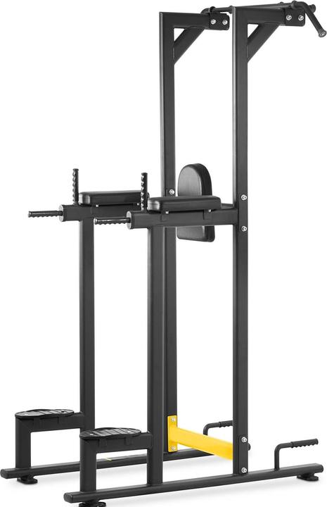 Actual product image Gymrex Dip Stand - 135 kg
