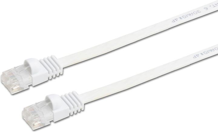 Actual product image Prokord U/UTP CAT.6 UNSHIELDED RJ45 LSZH 0.5M WHITE FLAT (U/UTP, CAT6, 0.50 m)