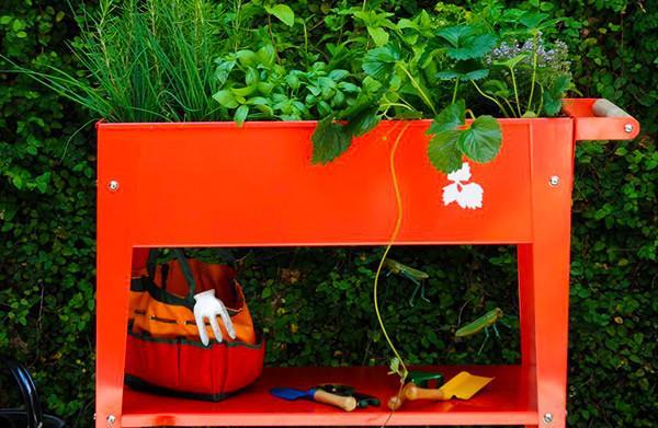 Image du produit Herstera Potager sur roulettes