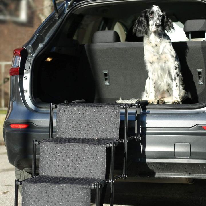 Immagine prodotto Esmée Scale per cani (Cane, Pieghevole)