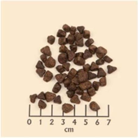 Actual product image Wolfsblut Wide Plain Small Breed (Adult, 1 pcs., 2000 g)