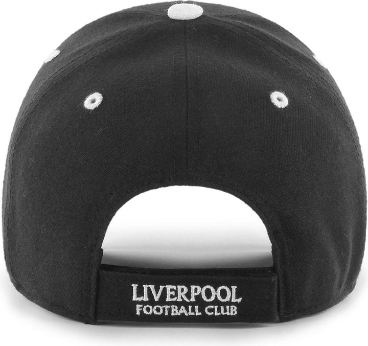 Actual product image 47 Brand Defrost Liverpool FC