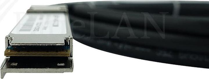 Actual product image CBO Fujitsu S26361-F3986-L402 Compatible BlueLAN DAC QSFP SC252501K2M30