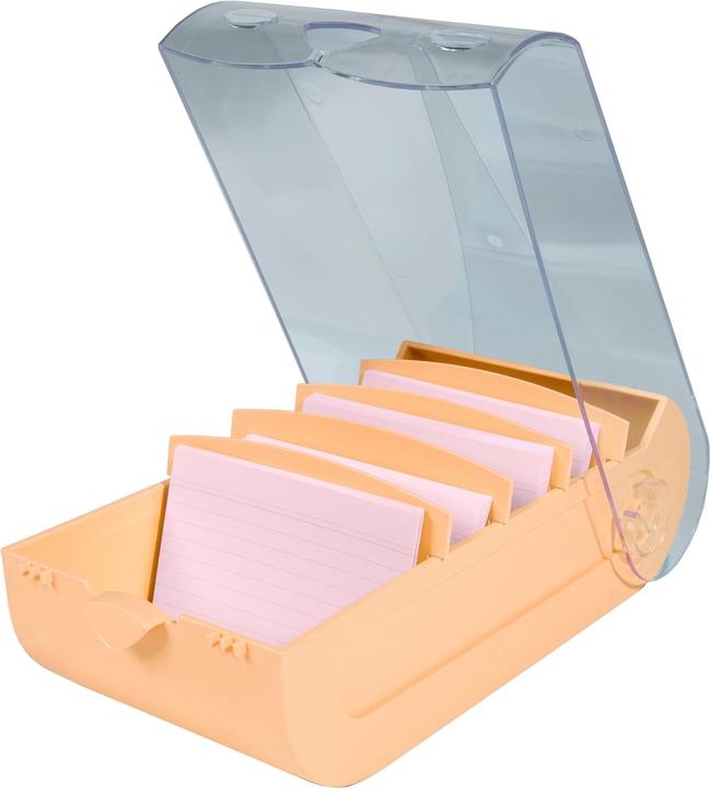 Actual product image Exacompta Index cards (A8)