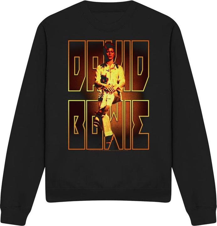 Produktbild David Bowie Perched Sweatshirt (XL)