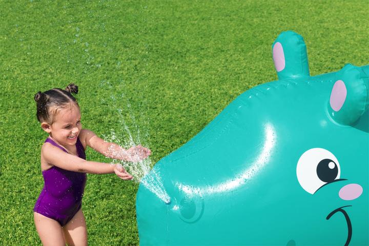 Actual product image Bestway Hippo
