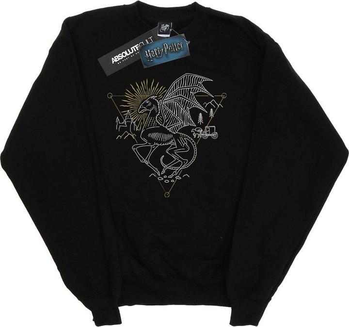 Produktbild Thestral Line Art Sweatshirt Mädchen (152, 158)
