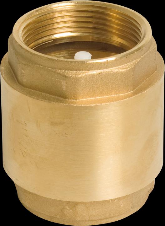 Produktbild Profec Rückschlagventil Federbelastet Messing 1/4" Innengewinde 16bar Typ 5