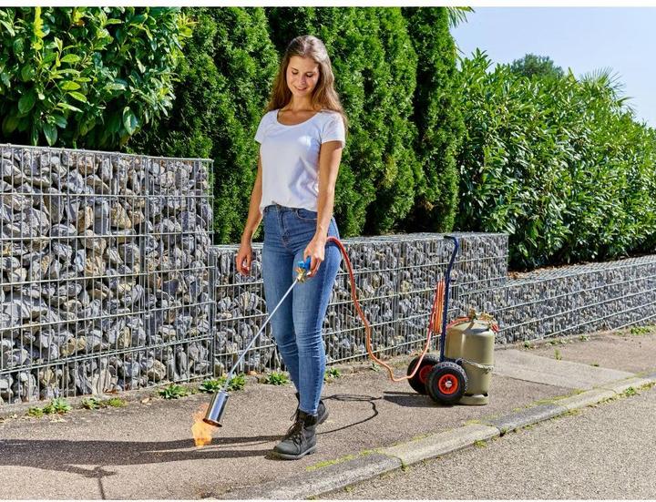 Productafbeelding CFH Vlammende eenheid GV 900, 52084