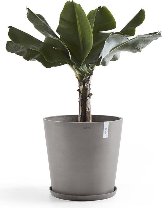 Actual product image Ecopots Saucer Round