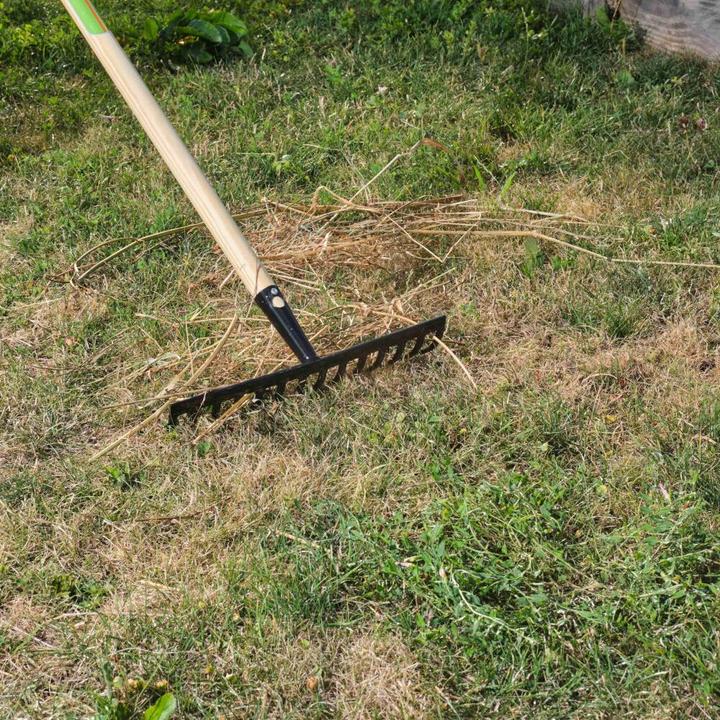 Productafbeelding Freund Victoria Hark, 66146 Tuinhark, van staal in zilver, werkbreedte: 40 cm, zonder steel, steelhouder:...