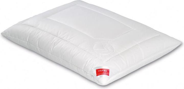 Image du produit Hefel Oreiller Klimacontrol Comfort (80x80 cm)
