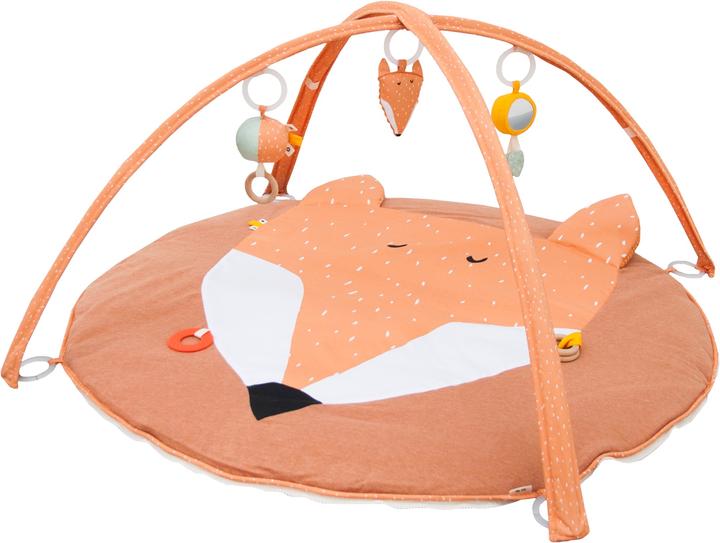 Mr Fox