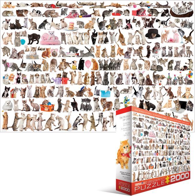 Image du produit Eurographics Le monde des chats (2000 pièces)
