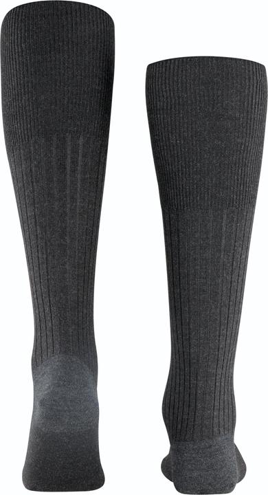 Produktbild Falke Bristol Pure KH (45 - 46)