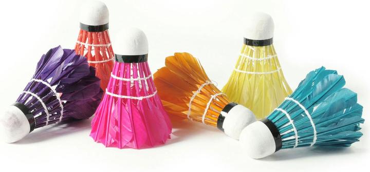 Actual product image 6 feather shuttles in sleeve color