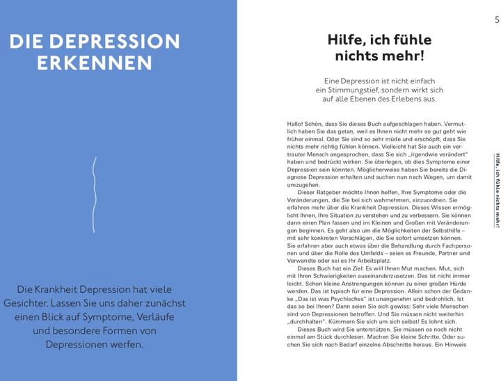 Produktbild Hilfe bei Depressionen (Deutsch, Alexander Bredereck, Mirjam Weinstein-Riechmann, Dr. med. Jana Christina Müller-Flechtenmacher, 2023)