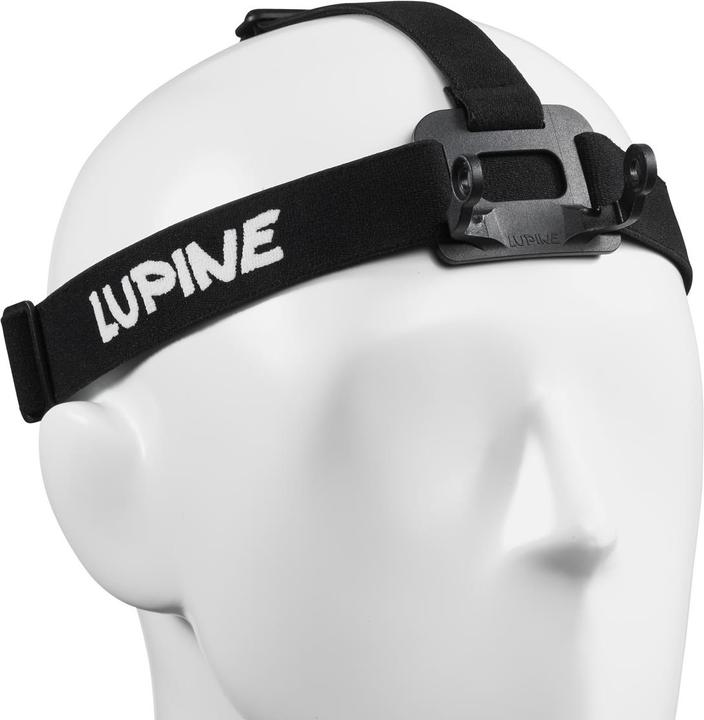 Image du produit Lupine Bandeau