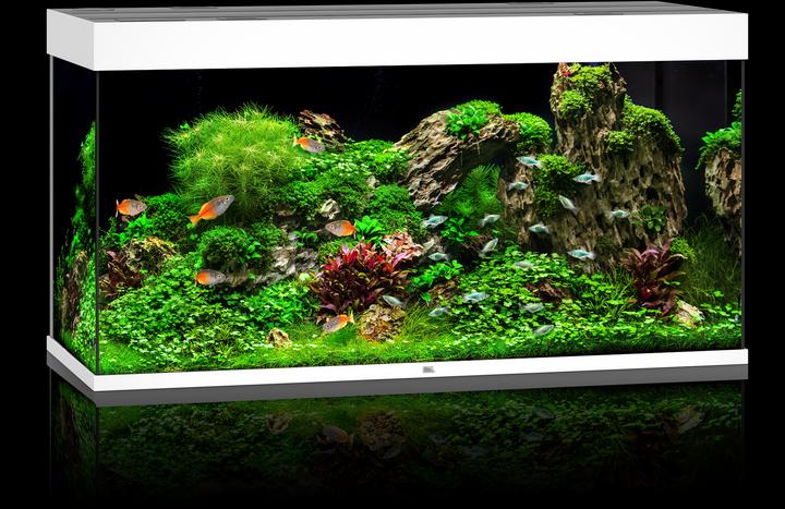 Image du produit Juwel Aquarium Rio LED (350 l)