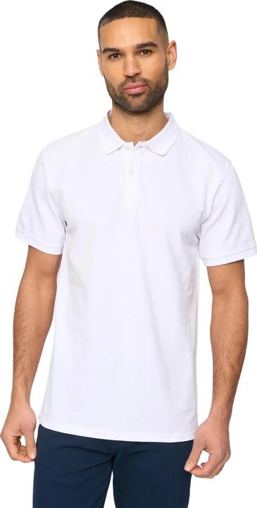 Actual product image Bewley & Ritch Mens Morwell Polo Shirt (L)