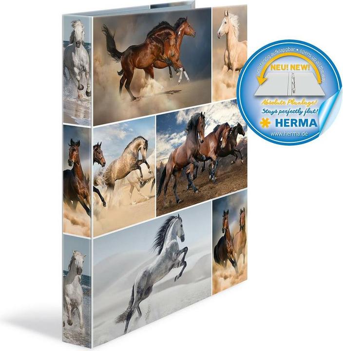 Image du produit HERMA Classeur à anneaux A4 Motif (A4, 35 mm, 1 pièce(s))