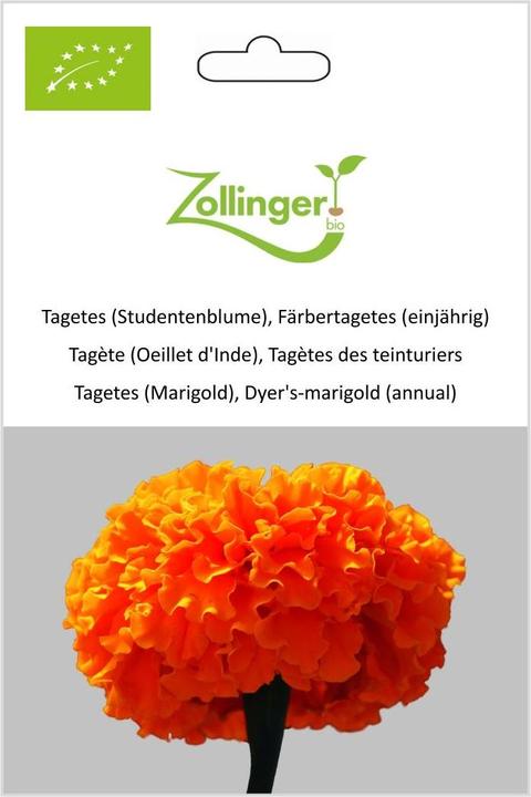 Produktbild Zollinger Bio Tagetes (Studentenblume), Färbertagetes (einjährig) (Keimlinge)