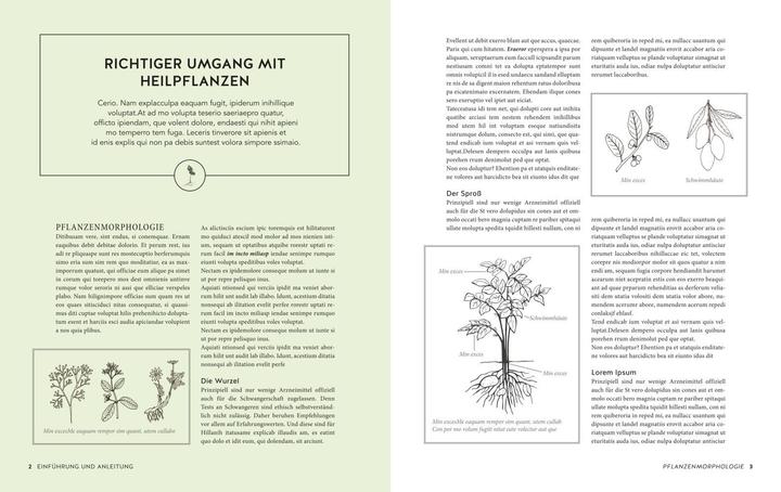 Actual product image Das grosse Buch der Heilpflanzen (German, Mannfried Pahlow, 2021)