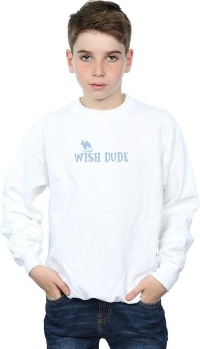 Produktbild Disney Aladdin Wish Dude Sweatshirt Jungen (140, 146)