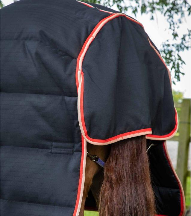 Produktbild Premier Equine Stable Buster 200g (152 cm)