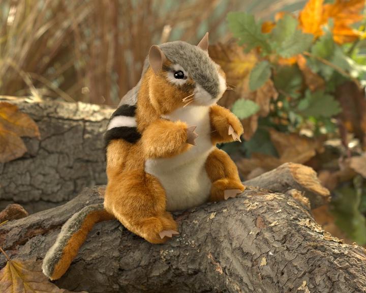 Image du produit Folkmanis Chipmunk / écureuil