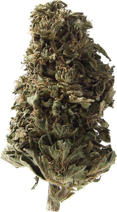 Immagine prodotto Herba di Berna Orangello (45 g, Esterno)